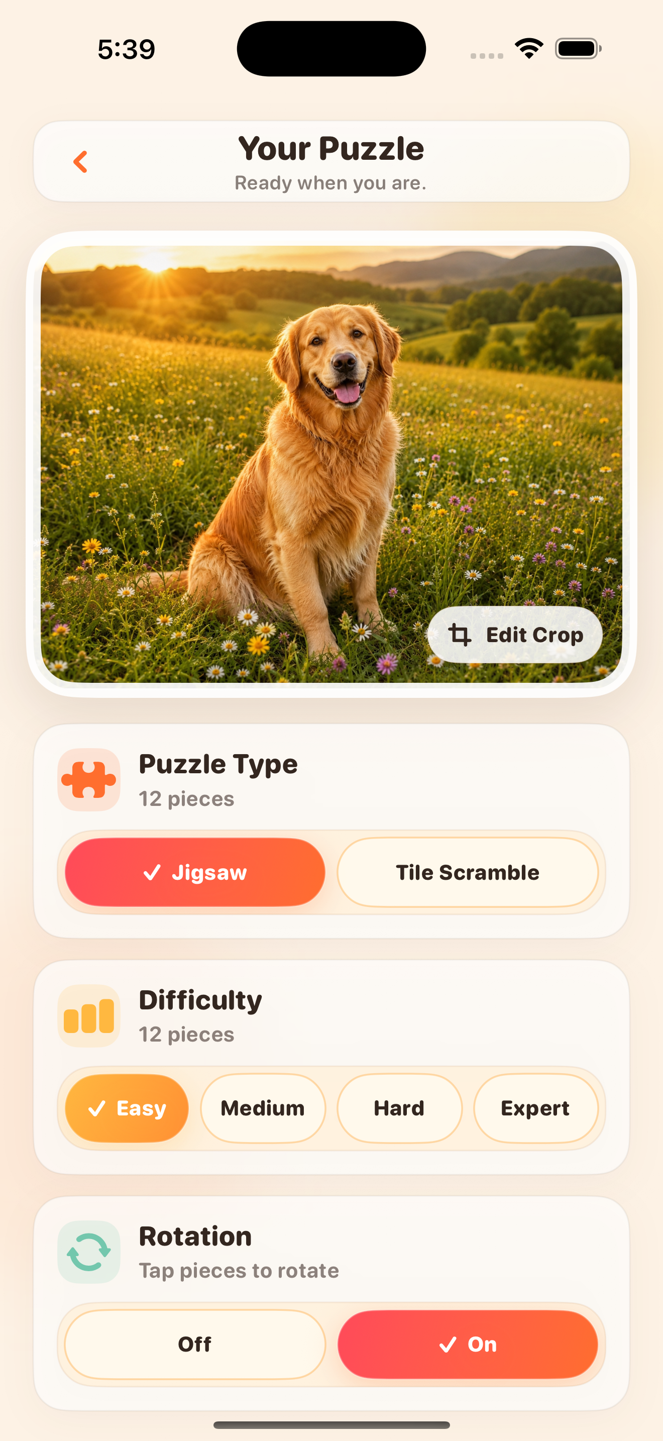 MemoryPieces puzzle setup screen
